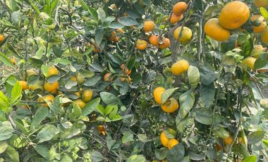 VENTA DE TERRENO DENTRO DE CONDOMINIO PRIVADO