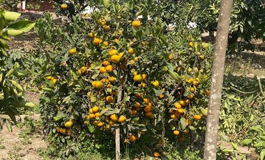 VENTA DE TERRENO DENTRO DE CONDOMINIO PRIVADO