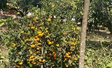 VENTA DE TERRENO DENTRO DE CONDOMINIO PRIVADO