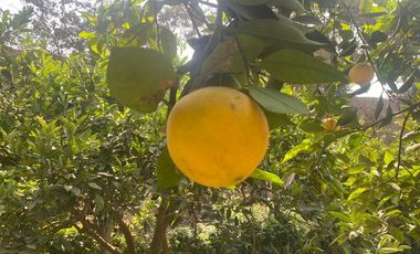 VENTA DE TERRENO DENTRO DE CONDOMINIO PRIVADO