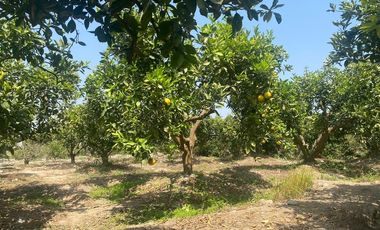 VENTA DE TERRENO DENTRO DE CONDOMINIO PRIVADO