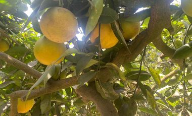 VENTA DE TERRENO DENTRO DE CONDOMINIO PRIVADO