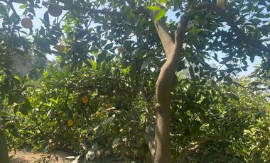 VENTA DE TERRENO DENTRO DE CONDOMINIO PRIVADO