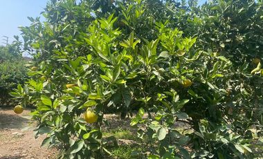 VENTA DE TERRENO DENTRO DE CONDOMINIO PRIVADO