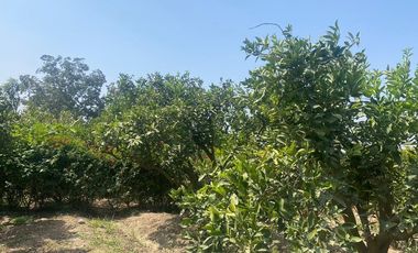 VENTA DE TERRENO DENTRO DE CONDOMINIO PRIVADO