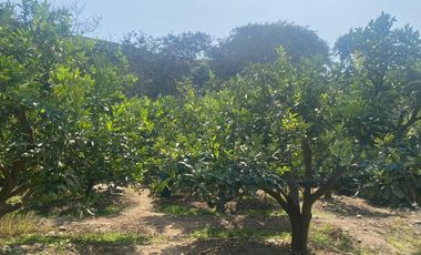 VENTA DE TERRENO DENTRO DE CONDOMINIO PRIVADO