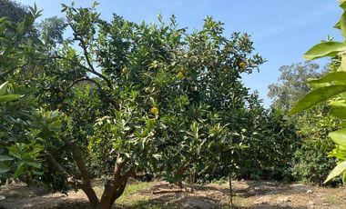 VENTA DE TERRENO DENTRO DE CONDOMINIO PRIVADO