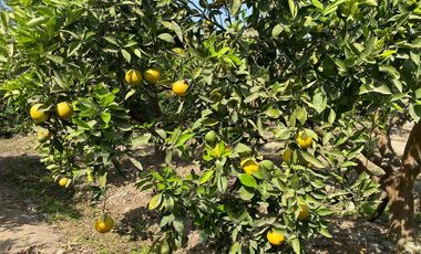 VENTA DE TERRENO DENTRO DE CONDOMINIO PRIVADO