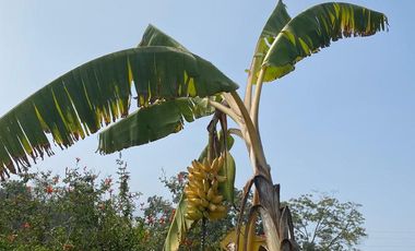 VENTA DE TERRENO DENTRO DE CONDOMINIO PRIVADO