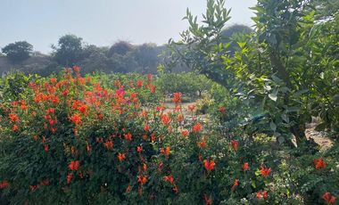 VENTA DE TERRENO DENTRO DE CONDOMINIO PRIVADO