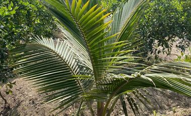 VENTA DE TERRENO DENTRO DE CONDOMINIO PRIVADO