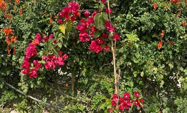 VENTA DE TERRENO DENTRO DE CONDOMINIO PRIVADO