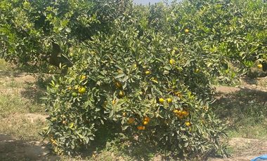 VENTA DE TERRENO DENTRO DE CONDOMINIO PRIVADO