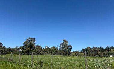 Se vende parcela exclusiva en Alto la Viña, sector oriente de Talca