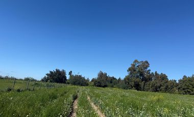 Se vende parcela exclusiva en Alto la Viña, sector oriente de Talca