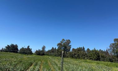 Se vende parcela exclusiva en Alto la Viña, sector oriente de Talca