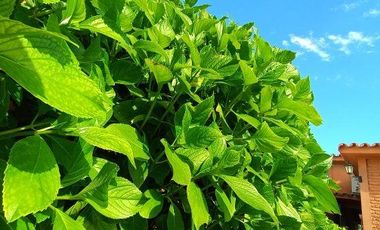 CHALET A METROS DEL MAR CON DEPARTAMENTO AL FONDO - ZONA CENTRO MAR DEL TUYU