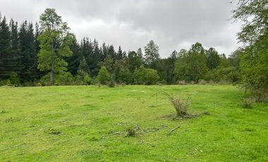 TERRENO DE 52 HÁ. EN SECTOR LIPINGÜE COMUNA LOS LAGOS
