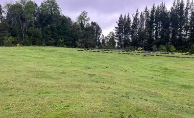 TERRENO DE 52 HÁ. EN SECTOR LIPINGÜE COMUNA LOS LAGOS