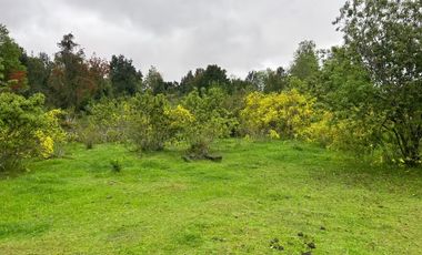 TERRENO DE 52 HÁ. EN SECTOR LIPINGÜE COMUNA LOS LAGOS