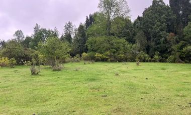 TERRENO DE 52 HÁ. EN SECTOR LIPINGÜE COMUNA LOS LAGOS