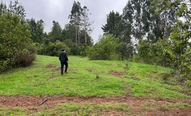 TERRENO DE 52 HÁ. EN SECTOR LIPINGÜE COMUNA LOS LAGOS