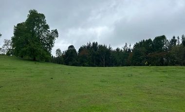 TERRENO DE 52 HÁ. EN SECTOR LIPINGÜE COMUNA LOS LAGOS