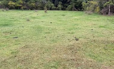 TERRENO DE 52 HÁ. EN SECTOR LIPINGÜE COMUNA LOS LAGOS