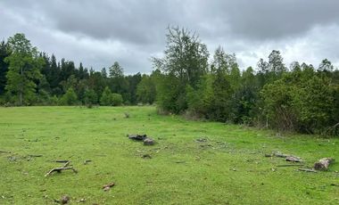 TERRENO DE 52 HÁ. EN SECTOR LIPINGÜE COMUNA LOS LAGOS