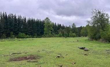 TERRENO DE 52 HÁ. EN SECTOR LIPINGÜE COMUNA LOS LAGOS