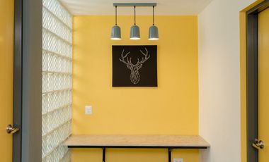 Renta de Departamento en Mitras Centro