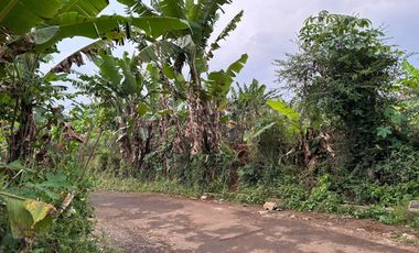Tanah di Dataran Tinggi Padalarang Bandung Barat Dijual Murah