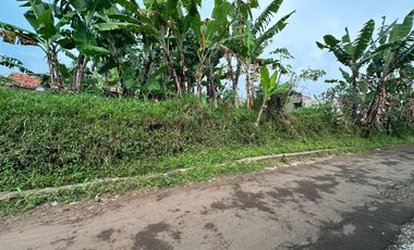Tanah di Dataran Tinggi Padalarang Bandung Barat Dijual Murah
