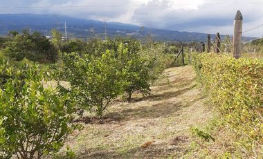 Se vende finca en villa de leyva