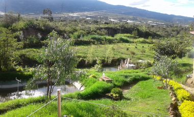 Se vende finca en villa de leyva