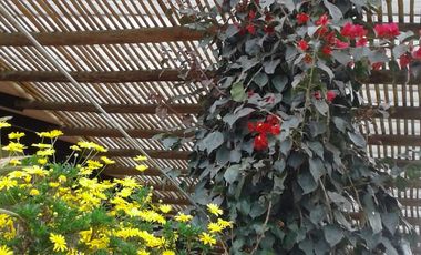 Se vende finca en villa de leyva