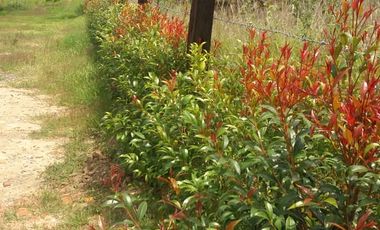 Se vende finca en villa de leyva