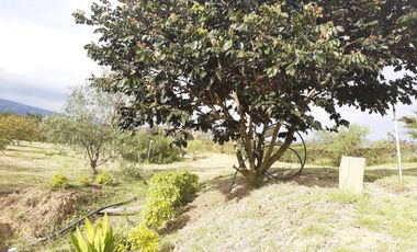 Se vende finca en villa de leyva