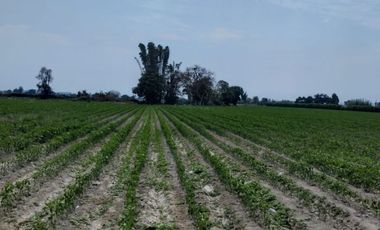 VENTA DE TERRENO PARA PROYECTO EN CHINCHA