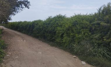 VENTA DE TERRENO PARA PROYECTO EN CHINCHA