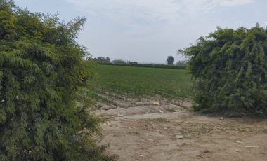 VENTA DE TERRENO PARA PROYECTO EN CHINCHA
