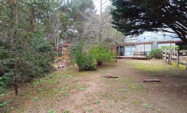 Casa Rodeada de Naturaleza - Costa del Este 1/2 Lote Propio