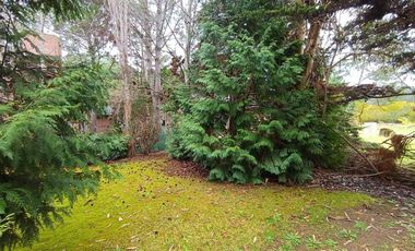 Casa Rodeada de Naturaleza - Costa del Este 1/2 Lote Propio