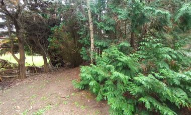 Casa Rodeada de Naturaleza - Costa del Este 1/2 Lote Propio