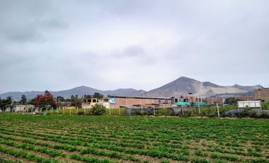 Terreno en Lurín para Casa de Campo, Huerta, Casa de Retiro, Actividades Agrícolas, Turísticas, Recreativas, Campestres, Artesanales y Comerciales