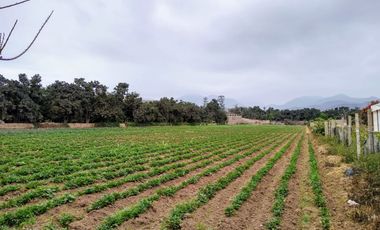Terreno en Lurín para Casa de Campo, Huerta, Casa de Retiro, Actividades Agrícolas, Turísticas, Recreativas, Campestres, Artesanales y Comerciales