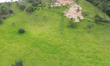 PROPIEDAD EN VENTA 10 HA. VICTORIA DEL PORTETE