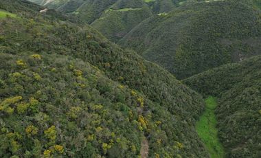 PROPIEDAD EN VENTA 10 HA. VICTORIA DEL PORTETE