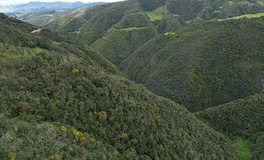 PROPIEDAD EN VENTA 10 HA. VICTORIA DEL PORTETE