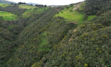 PROPIEDAD EN VENTA 10 HA. VICTORIA DEL PORTETE